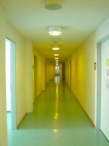 Department corridor
