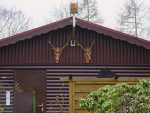 Alarm with antlers