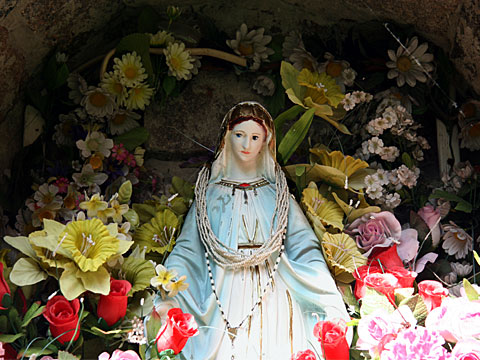 Madonna in a Sea of Flowers