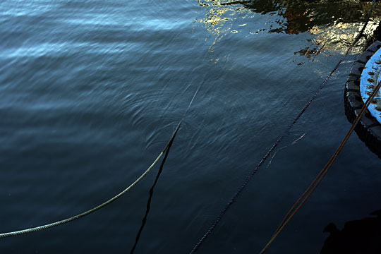 The Water and the Ropes
