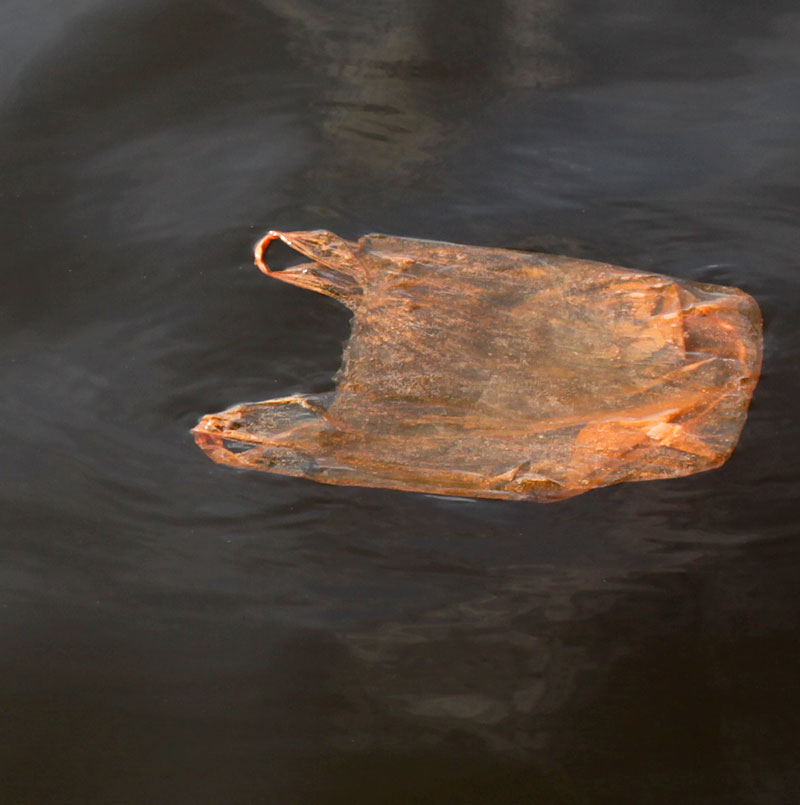 Floating Plastic Bag